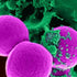 Chloroform Stabilized with Amylene Exceeds A.C.S. Specifications UniSolv(R)