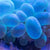 Gabapentin 98+ Percent (Research Grade) | Spectrum Chemicals Australia