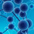 2-Methyl-18-naphthyridine | Spectrum Chemicals Australia