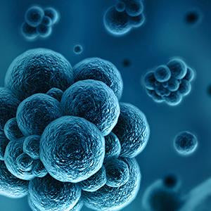 DNase I | Spectrum Chemicals Australia