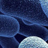 Isoproterenol Sulfate USP