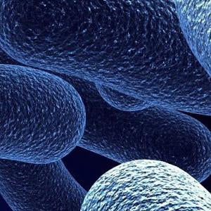 Buffer Solution Borate For Nitrogen (Organic) APHA | Spectrum Chemicals Australia