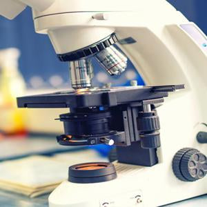 N-Iodosuccinimide | Spectrum Chemicals Australia