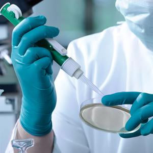 Diphenylamine Hydrochloride | Spectrum Chemicals Australia